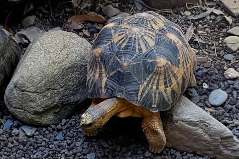 Hartley's Crocodile Adventures General Entry Ticket - Accommodation Cairns 2