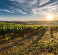 Perth to Margaret River Wine Tour - 2 Day Premium Boutique Wine Tour Experience - Accommodation Cairns