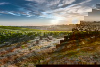 Perth to Margaret River Wine Tour - 2 Day Premium Boutique Wine Tour Experience