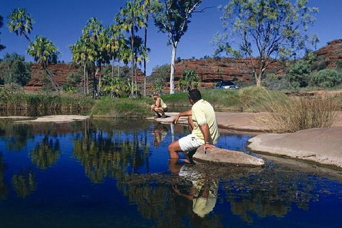 Palm Valley 4WD Day Tour - Accommodation Cairns 1