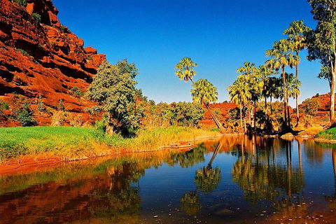 Palm Valley 4WD Day Tour - Accommodation Cairns 2