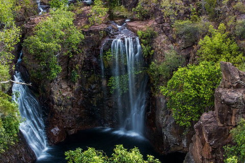 Litchfield National Park - Top End Day Tour From Darwin - Accommodation Cairns 2