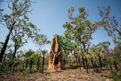 Litchfield National Park - Top End Day Tour From Darwin - Accommodation Cairns 5