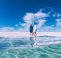 4-Day Coastal Loop via Monkey Mia Wild Dolphins Kalbarri Pinnacles Perth Return - Accommodation Cairns