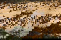 Pinnacles Sunset Dinner and Stargazing Experience a Small Group Tour, Perth