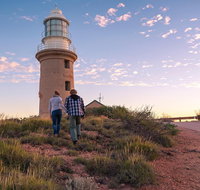 6-Day Coral Coaster from Perth to Exmouth One-Way via Monkey Mia Ningaloo Reef - Accommodation Cairns