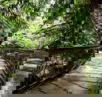 12 Apostles Eco-Friendly Great Ocean Road Iconic Adventure from Melbourne - Accommodation Cairns