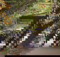 Adelaide Highlights Hahndorf  McLaren Vale Wine Tasting and Sightseeing Tour - Accommodation Cairns