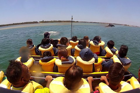 Jet Boat Express Ride - 30mins - Accommodation Cairns 5