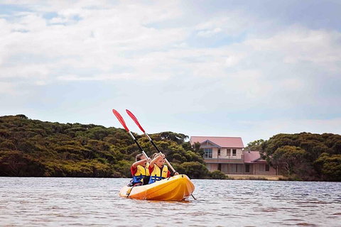Kangaroo Island Self-Guided Kayaking On The Harriet River - Accommodation Cairns 5