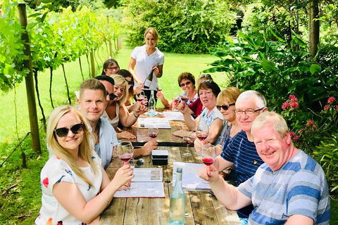 Mount Tamborine Wine Tasting Tour From Brisbane Or The Gold Coast - Accommodation Cairns 5