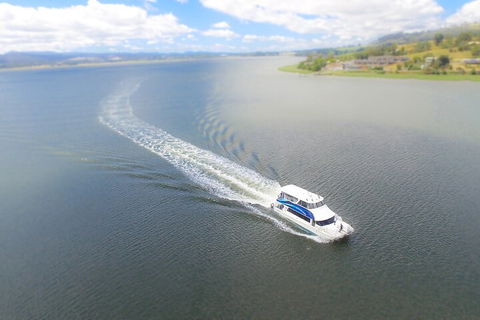 2.5 Hour Afternoon Discovery Cruise Including Cataract Gorge Departs At 1: 30 Pm - Accommodation Cairns 0