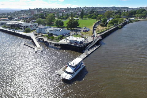 2.5 Hour Afternoon Discovery Cruise Including Cataract Gorge Departs At 1: 30 Pm - Accommodation Cairns 3