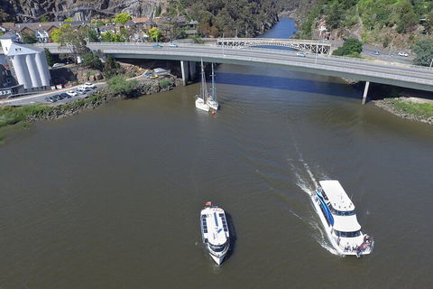 2.5 Hour Afternoon Discovery Cruise Including Cataract Gorge Departs At 1: 30 Pm - Accommodation Cairns 5