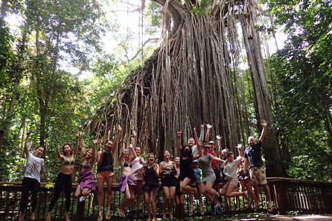 Atherton Tablelands Waterfalls Tour From Cairns - Accommodation Cairns 5