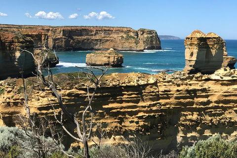 Great Ocean Road Reverse Itinerary Tour - Accommodation Cairns 1