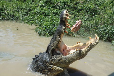 Litchfield And Jumping Crocodiles Full Day Trip From Darwin - Accommodation Cairns 3