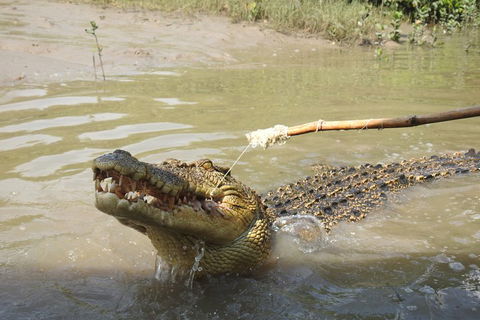 Litchfield And Jumping Crocodiles Full Day Trip From Darwin - Accommodation Cairns 4
