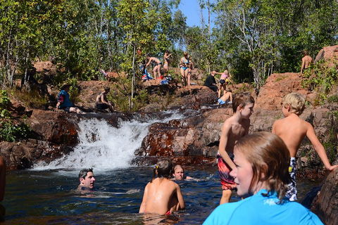 Litchfield And Jumping Crocodiles Full Day Trip From Darwin - Accommodation Cairns 5