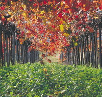 Margaret River Private Tour - Accommodation Cairns
