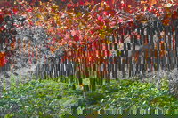 Margaret River Private Tour, Perth