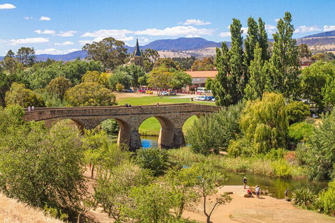 Wineglass Bay & Freycinet NP Full Day Tour From Hobart Via Richmond Village - Accommodation Cairns 4