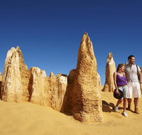 Pinnacles Day Trip from Perth Including Yanchep National Park - Accommodation Cairns