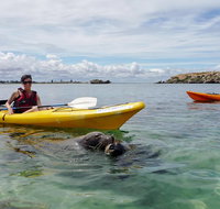 Seal Island and Penguin Island or Point Peron Sea Kayak Tour - Accommodation Cairns
