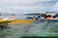 Seal Island and Penguin Island or Point Peron Sea Kayak Tour, Perth