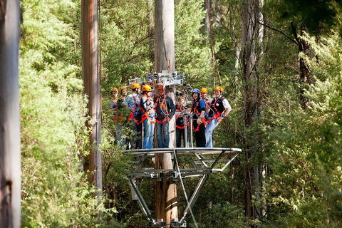 Adventure Sunset Three Day Great Ocean Road Tour - Accommodation Cairns 1