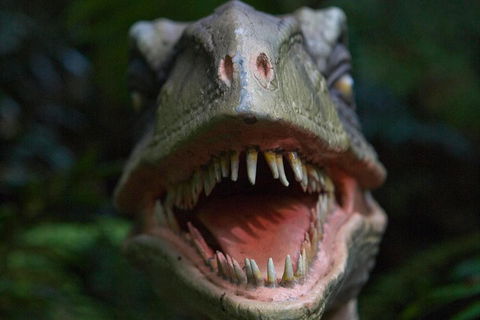 Adventure Sunset Three Day Great Ocean Road Tour - Accommodation Cairns 3