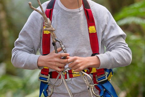 Adventure Sunset Three Day Great Ocean Road Tour - Accommodation Cairns 5