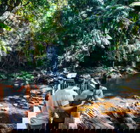 Aquaduck  Your choice of Gold Coast Rainforest Tour - Accommodation Cairns