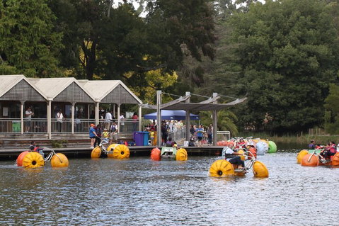 Yarra Valley, Dandenong Ranges Inc. Lunch With Wine,plus Morning Tea,chocolate - Accommodation Cairns 1