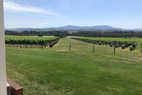 Yarra Valley, Dandenong Ranges Inc. Lunch With Wine,plus Morning Tea,chocolate - Accommodation Cairns 3