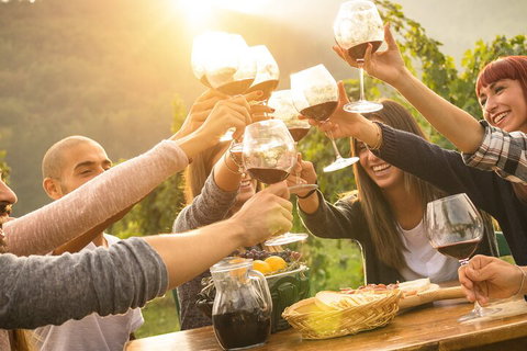 Yarra Valley, Dandenong Ranges Inc. Lunch With Wine,plus Morning Tea,chocolate - Accommodation Cairns 4