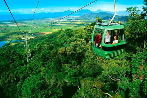 4-Day Cairns Ultimate Combo: Daintree Rainforest, Reef, Kuranda & Paronella Park - Accommodation Cairns 1