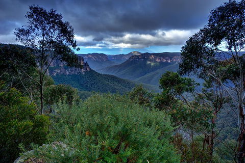 Ultimate Blue Mountains And Wildlife Tour - Accommodation Cairns 1