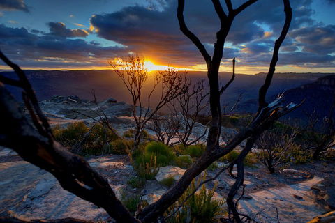Ultimate Blue Mountains And Wildlife Tour - Accommodation Cairns 2