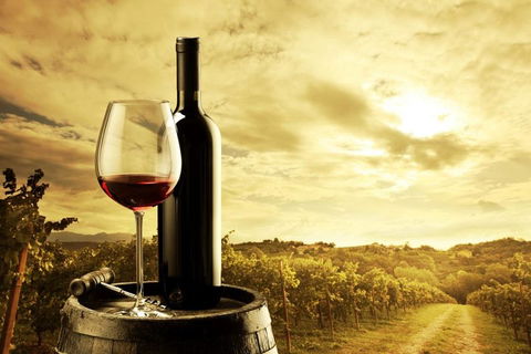 Barossa Valley Cellar Doors Luxury Wine Tour - Accommodation Cairns 0