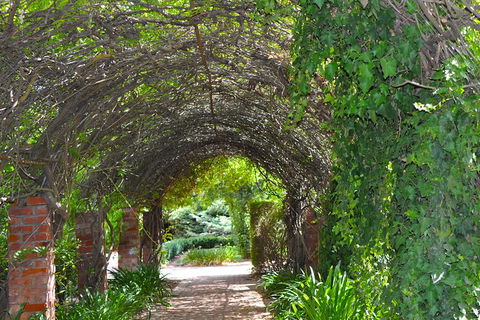 Barossa Valley Cellar Doors Luxury Wine Tour - Accommodation Cairns 3