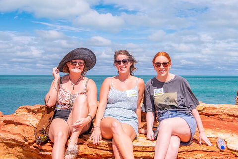 Broome Panoramic Town Tour - All The Extraordinary Sights And History Of Broome - Accommodation Cairns 5