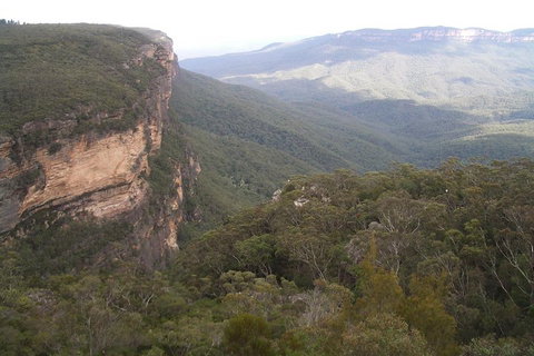 Full-Day Private Blue Mountains Tour With River Cruise - Accommodation Cairns 3