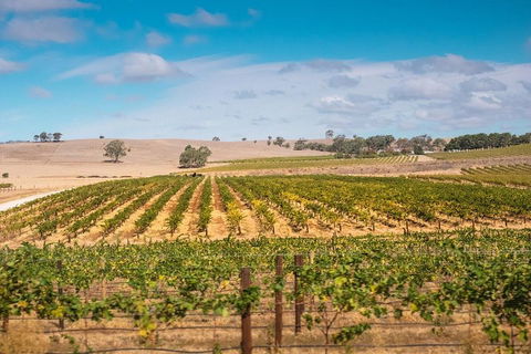 Barossa Valley Private Tour (from 2 To 11 People) - Accommodation Cairns 2