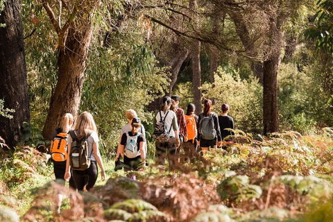 Half-Day Yanchep Ghost House Wilderness Guided Hike Tour - Accommodation Cairns 0