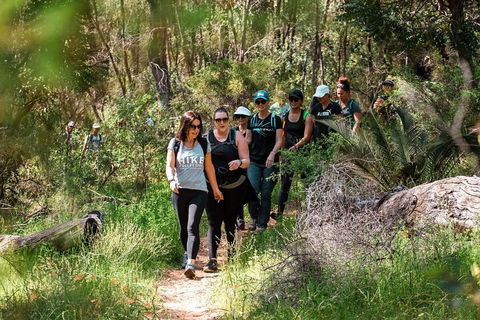 Half-Day Yanchep Ghost House Wilderness Guided Hike Tour - Accommodation Cairns 3