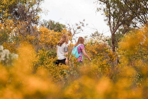 Half-Day Yanchep Ghost House Wilderness Guided Hike Tour - Accommodation Cairns 4