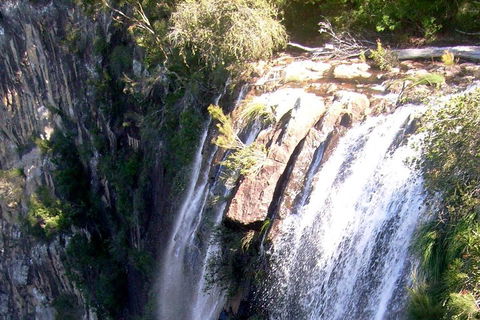 Byron Bay Combo: Hinterland Tour Including Minyon Falls And Kayaking With Dolphins - Accommodation Cairns 3