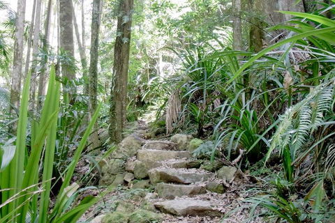 Byron Bay Combo: Hinterland Tour Including Minyon Falls And Kayaking With Dolphins - Accommodation Cairns 5