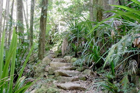 Byron Bay Combo: Minyon Falls And Hinterland Day Trip And Learn To Surf At Byron Bay - Accommodation Cairns 3